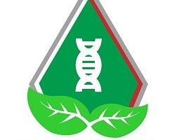 LOGO-BEM-WARNA-edit-01-252×250