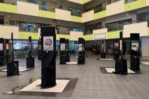 WhatsApp Image 2026-03-11 at 14.14.28